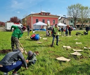 Reggio Emilia: 450 alberi per il parco Dario Fo