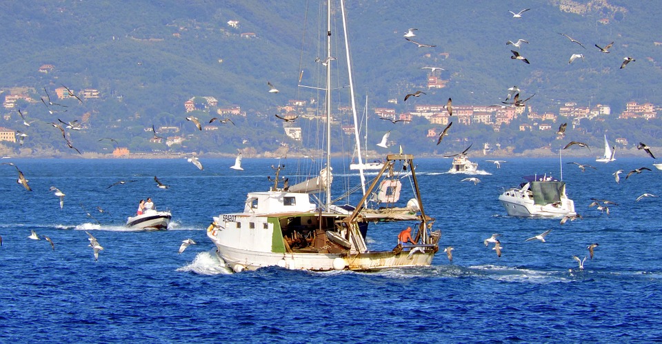 Crisi energetica: Alleanza Cooperative Pesca in pressing su Italia e Ue per credito di imposta e fermo volontario