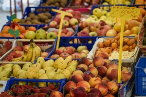 Cimice asiatica, Vernocchi: “Senza il via libera all’uso delle difese naturali a rischio la frutta estiva”