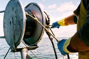 Sciopero pescatori, Fedagripesca Toscana: “Costo del gasolio fuori controllo, attività a rischio”