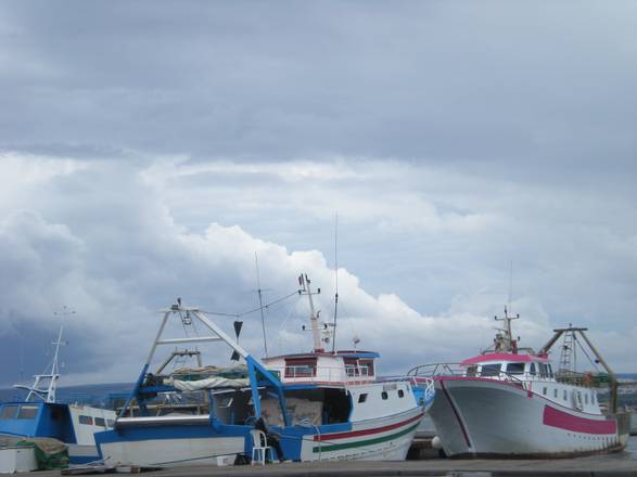 Pesca: Alleanza Cooperative chiede proroga del credito di imposta