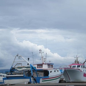 Pesca: Alleanza Cooperative chiede proroga del credito di imposta