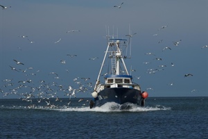 Pesca: Alleanza Cooperative bene accordo in Conferenza Stato Regioni su ripartizione FEAMPA