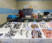 Pesca: Fedagripesca, più Italia nel piatto se cresce occupazione giovani