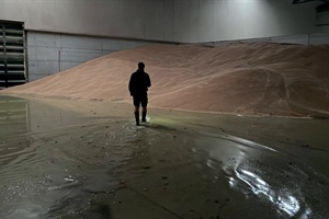 Alluvione, danni ingenti per il Consorzio Agrario di Ravenna