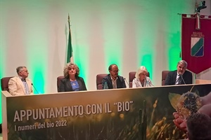 Biologico, Torriani: "Per aumentare offerta e domanda fondamentale puntare su filiere cooperative"