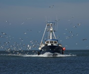 Pesca: Regolamento controlli, da Europa via libera definitivo. Apprezzamento di Alleanza delle Cooperative per voto contrario dell’Italia