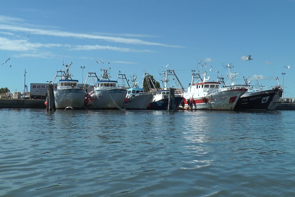 Pesca: Fedagripesca, da filiera ittica un potenziale di oltre 50mila nuovi lavoratori, ma occorre invertire trend
