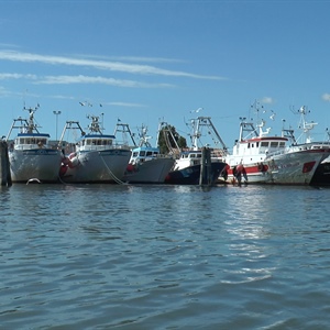 Pesca: Fedagripesca, da filiera ittica un potenziale di oltre 50mila nuovi lavoratori, ma occorre invertire trend