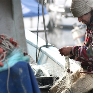 Pesca: Nel 2030 oltre 9 prodotti ittici su 10 potrebbero essere di importazione per mancanza di imprese e lavoratori
