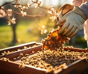 Giornata mondiale delle api, Terriaca: “Serve un patto con i consumatori per il futuro del settore”