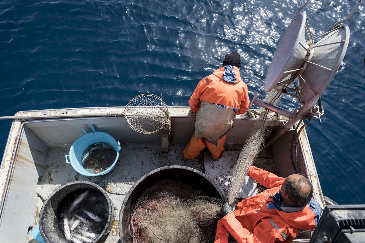 Fedagripesca: “Serve un nuovo patto tra Ue e produttori per salvare il mare e la pesca”