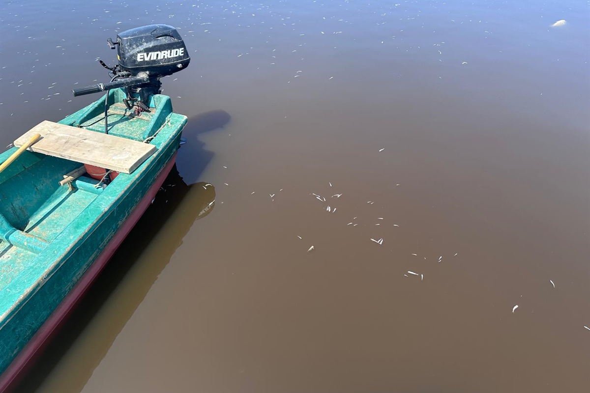 Orbetello, Fedagripesca Toscana: “Bene, l'intervento della Regione, ma per i problemi della Laguna servono soluzioni strutturali”