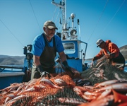 Calabria, Fedagripesca: firmato accordo per la pesca nei fine settimana durante le festività natalizie