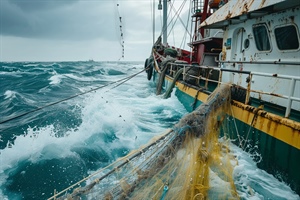 Fedagripesca: "No ad obbligo assicurativo per la pesca contro calamità naturali, rischio mancata copertura per l’80% dei danni”