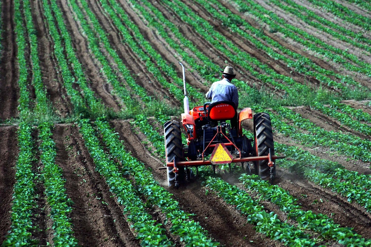 FVG: borsa di ricerca per un'indagine sulle cooperative agricole