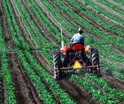 FVG: borsa di ricerca per un'indagine sulle cooperative agricole