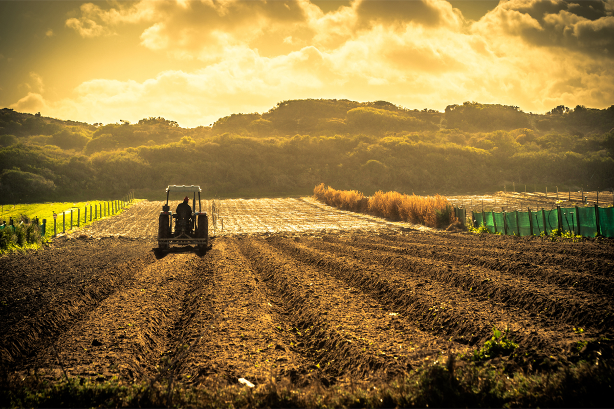 Nuova visione dell’agricoltura, Drei: “Bene approccio meno punitivo della Ue, ma pesa l’assenza di misure per l’aggregazione”