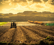 Nuova visione dell’agricoltura, Drei: “Bene approccio meno punitivo della Ue, ma pesa l’assenza di misure per l’aggregazione”