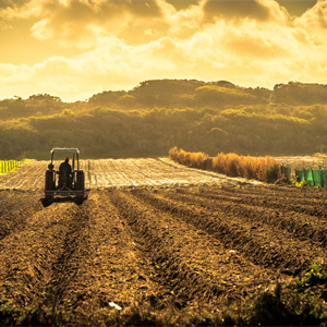 Nuova visione dell’agricoltura, Drei: “Bene approccio meno punitivo della Ue, ma pesa l’assenza di misure per l’aggregazione”