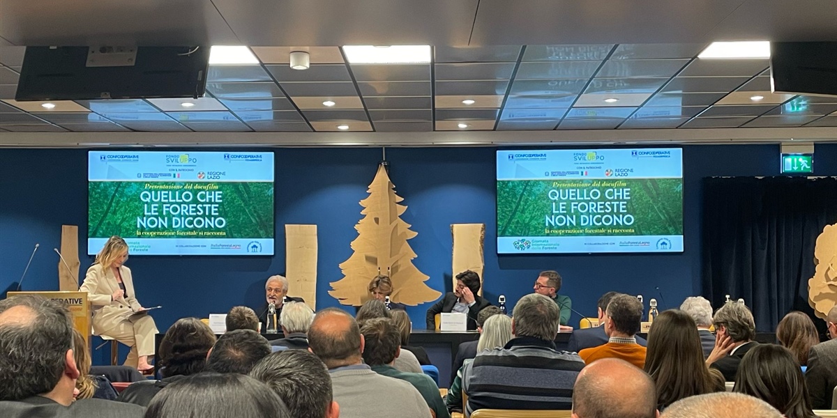 Le foreste italiane assorbono 46 milioni di tonnellate di co2, tre volte e mezzo le emissioni di Milano e provincia