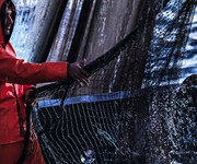 Fondo solidarietà pesca approvato: Fedagripesca avverte, “senza risorse oltre il 2025 è misura a metà”