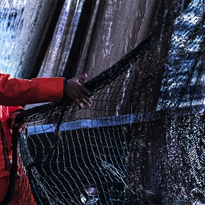 UE, Fedagripesca lancia l’allarme: taglio del 68% ai fondi minaccia la pesca professionale in Europa e in Italia. A rischio 7 imprese ittiche su 10