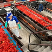 Pomodoro: Conserve Italia, al via campagna raccolta da 500.000 tonnellate, +19,5% rispetto al 2024