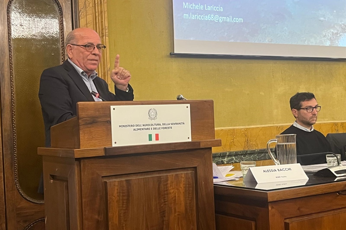 Svolta sul piano FAO-CGPM: al MASAF riparte il dialogo per il futuro della piccola pesca