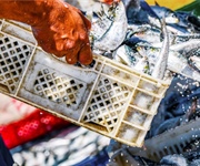 CCNL personale non imbarcato: al via il tavolo di rinnovo