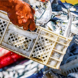 CCNL personale non imbarcato: al via il tavolo di rinnovo