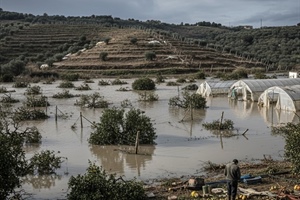Sicilia, agricoltura devastata dal ciclone: le cooperative chiedono sostegno reale