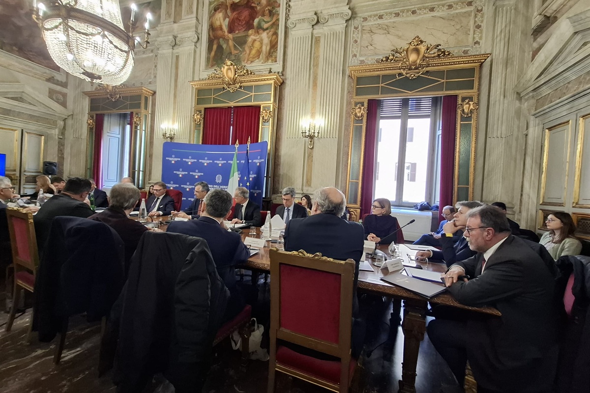 Vino, Rigotti (Confcooperative Fedagripesca): “Dal Tavolo Vino risposte concrete per il comparto”