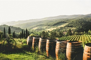 Vino, Rigotti (Fedagripesca): Bene il via libera del Parlamento Ue al pacchetto di misure ma risultato solo parziale