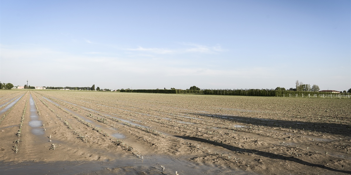 DL Maltempo, Gardini: «Misure concrete di sostegno alle comunità colpite»