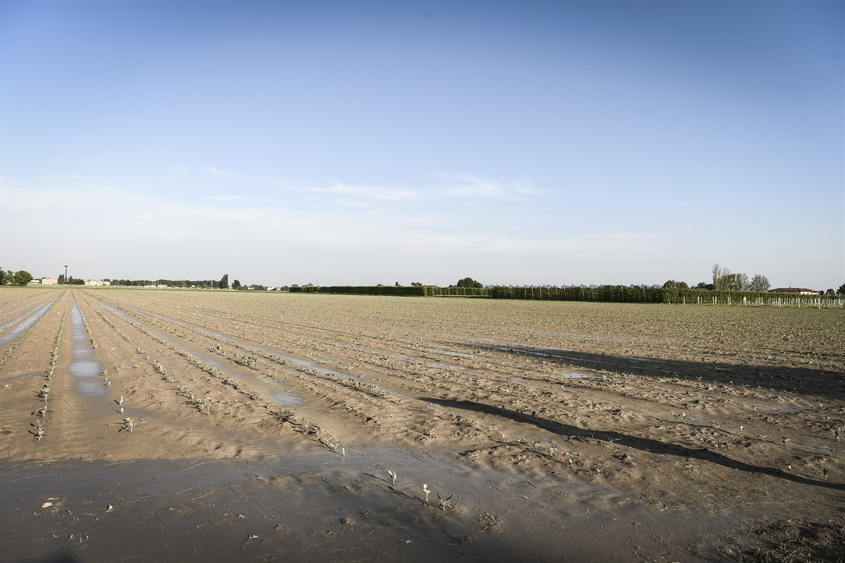 DL Maltempo, Gardini: «Misure concrete di sostegno alle comunità colpite»