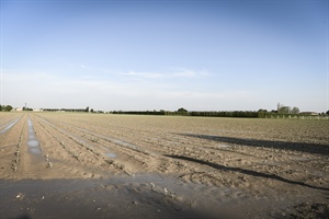 DL Maltempo, Gardini: «Misure concrete di sostegno alle comunità colpite»