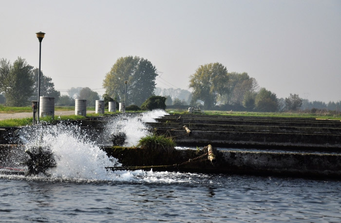 Decreto proroga al 31 dicembre 2026 l’obbligo di polizza catastrofi per settore ittico