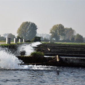 Decreto proroga al 31 dicembre 2026 l’obbligo di polizza catastrofi per settore ittico