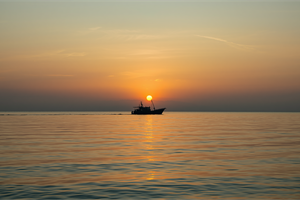 Giornata Mare: Fedagripesca, 85% giovani lo ama ma solo 15% conosce sbocchi occupazionali