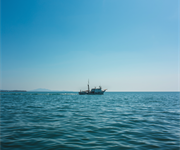 Pesca, via libera definitivo a riforma sanzioni. Fedagripesca: "Vince proporzionalità"