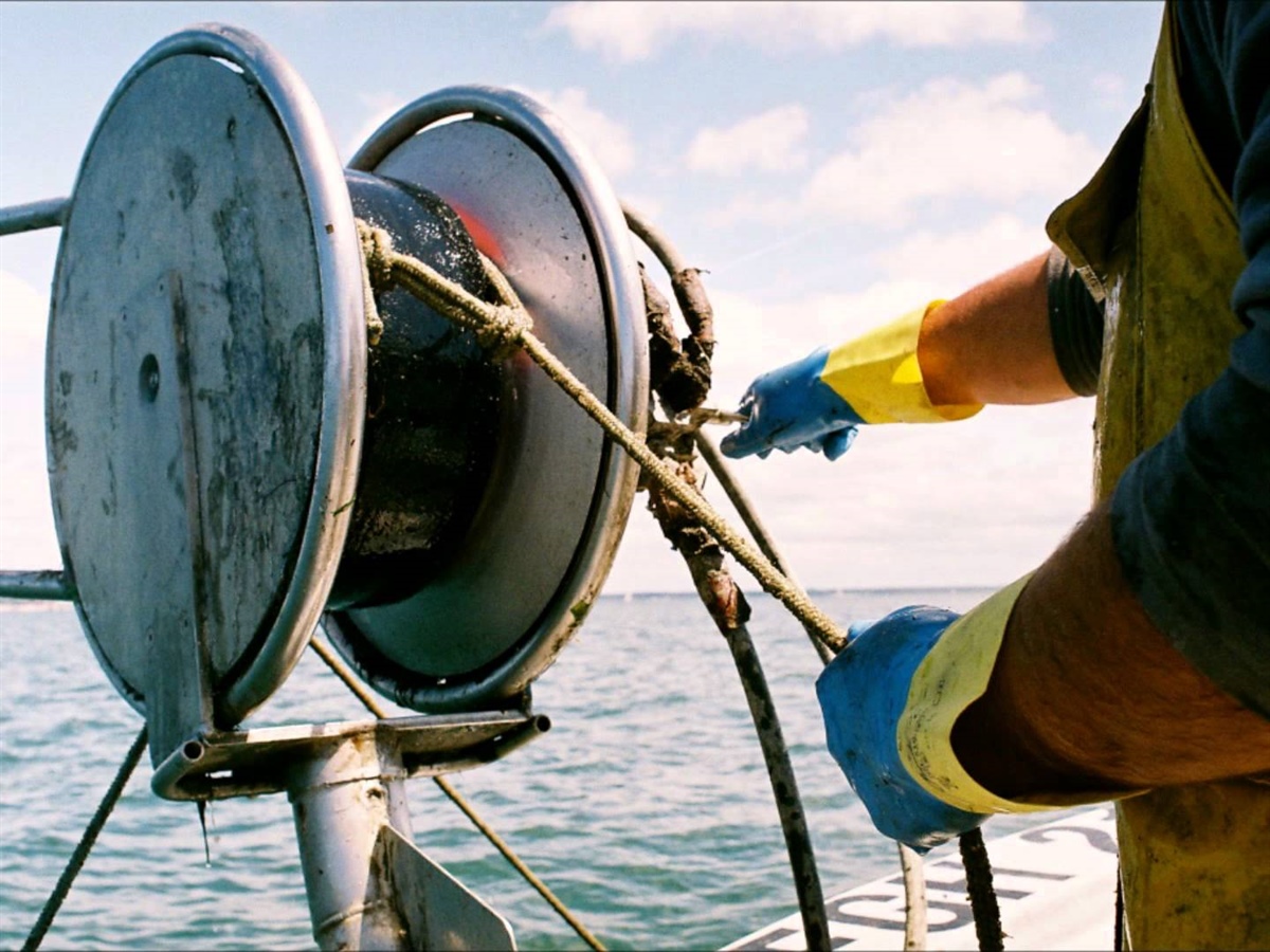 Ddl Mare, Fedagripesca: arrivano i bonus assunzioni e semplificazioni per la pesca