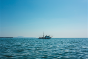 Giornata degli Oceani, Confcooperative: “La crisi dell’AMOC minaccia Mediterraneo e pesca italiana”