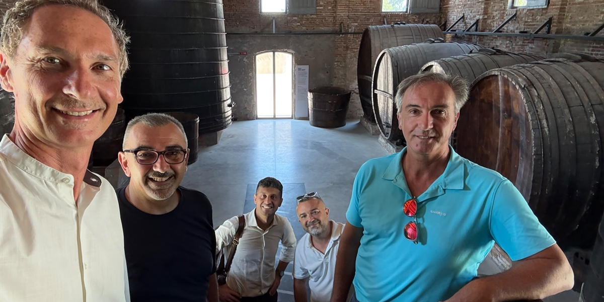 Economia sociale: al via il percorso di Confcooperative Romagna-Estense