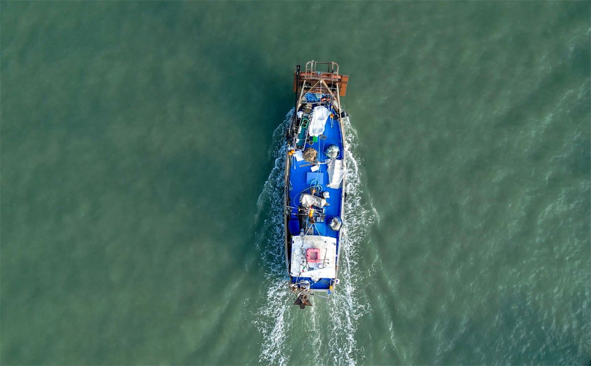 Crisi pesca in Friuli Venezia Giulia: l'invasione del granchio blu minaccia il settore