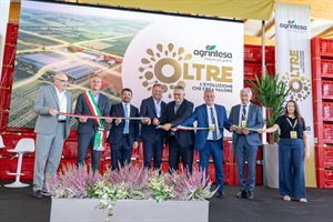 Agrintesa Guarda “Oltre”: a Castel Bolognese il polo europeo del kiwi