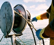 Tiozzo (Confcooperative): «Per pesca e acquacoltura servono pragmatismo e misure concrete»