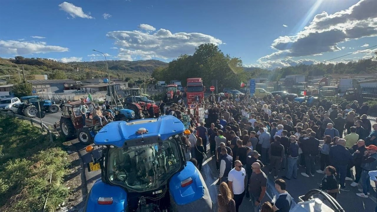 Blocco dei trasporti, Drei: “Agricoltori e autotrasportatori affrontano le stesse difficoltà. Si garantisca il transito dei prodotti deperibili”