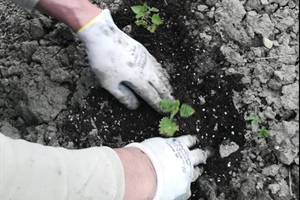 Modena, Ortika fa scuola anche all'estero