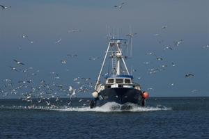 Pesca: l’Alleanza delle Cooperative dichiara lo stato di agitazione della categoria per il 12 giugno